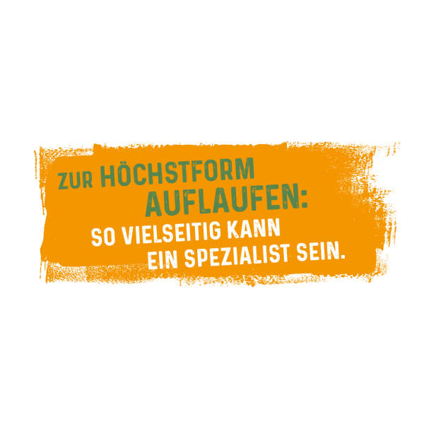Spruch - Multi-Bräter Emma 32 x 24 cm